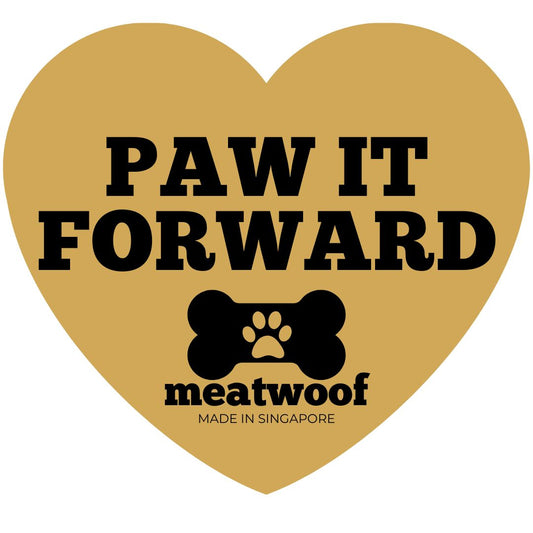 Meatwoof Singapore Paw It Forward | Helping Rescue Dogs | CSR