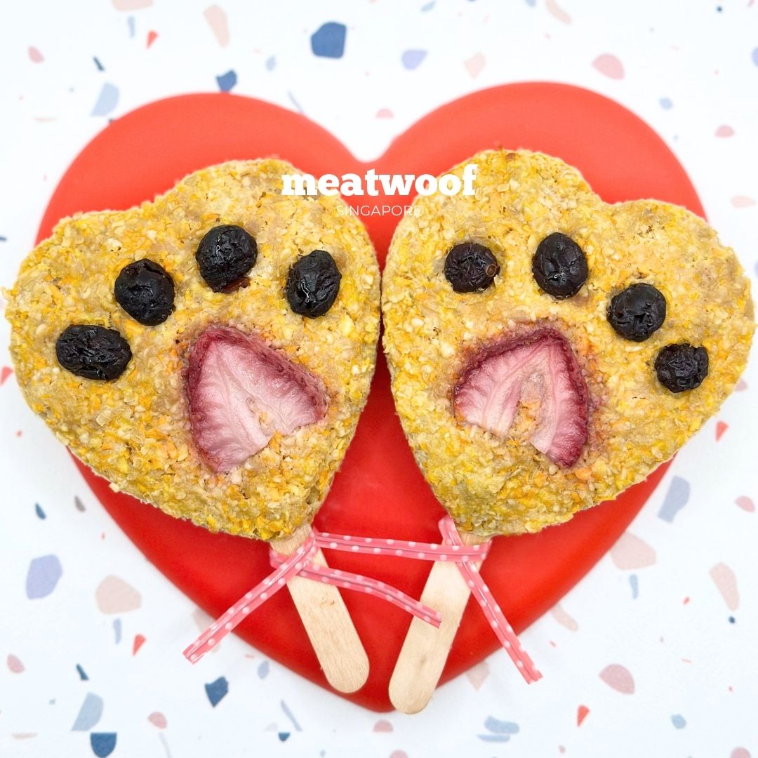 Meaty Lolly For Dogs | Valentines Dog Treats | Meatwoof Singapore