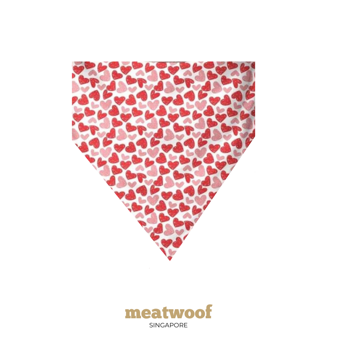 Dog Gifts | Barkday Gift | Gotcha Day Gift | Dog Bandana | Hearts Bandana Pink - Meatwoof Singapore