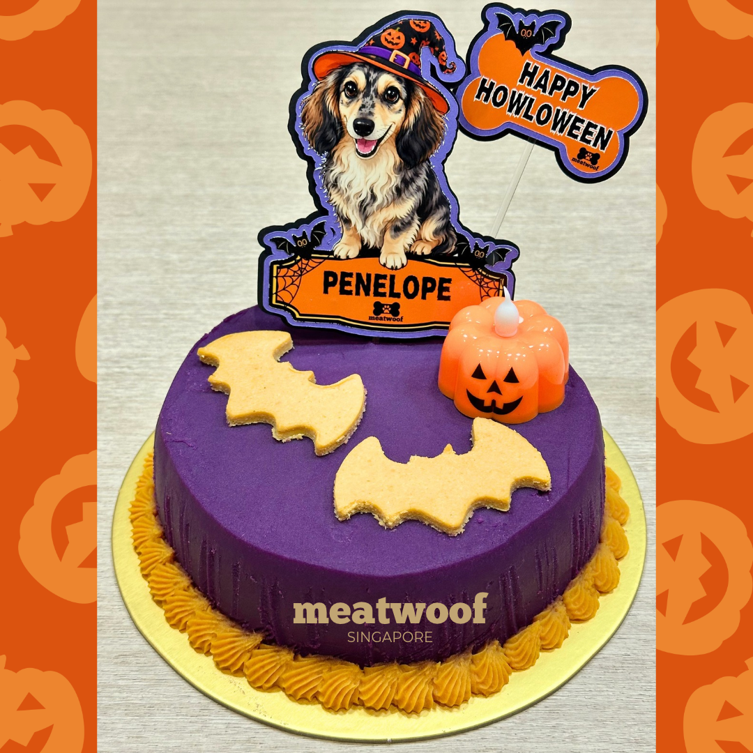 Meatwoof Meaty Howloween Cake (Personalised) 🎃