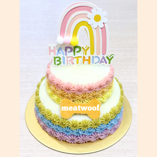 Cakes For Dogs | Dog Cakes | Dog Birthday Cake | Pretty Cake | Party Cake | 2 tier Cake | Colourful Cake | Rainbow Cake - Meatwoof Singapore