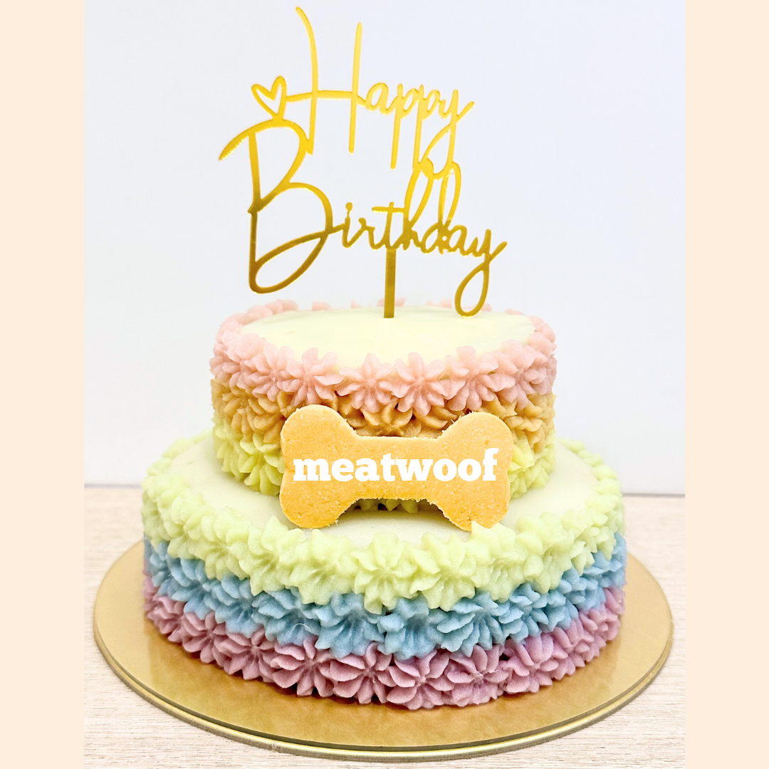 Cakes For Dogs | Dog Cakes | Dog Birthday Cake | Pretty Cake | Party Cake | 2 tier Cake | Colourful Cake - Meatwoof Singapore