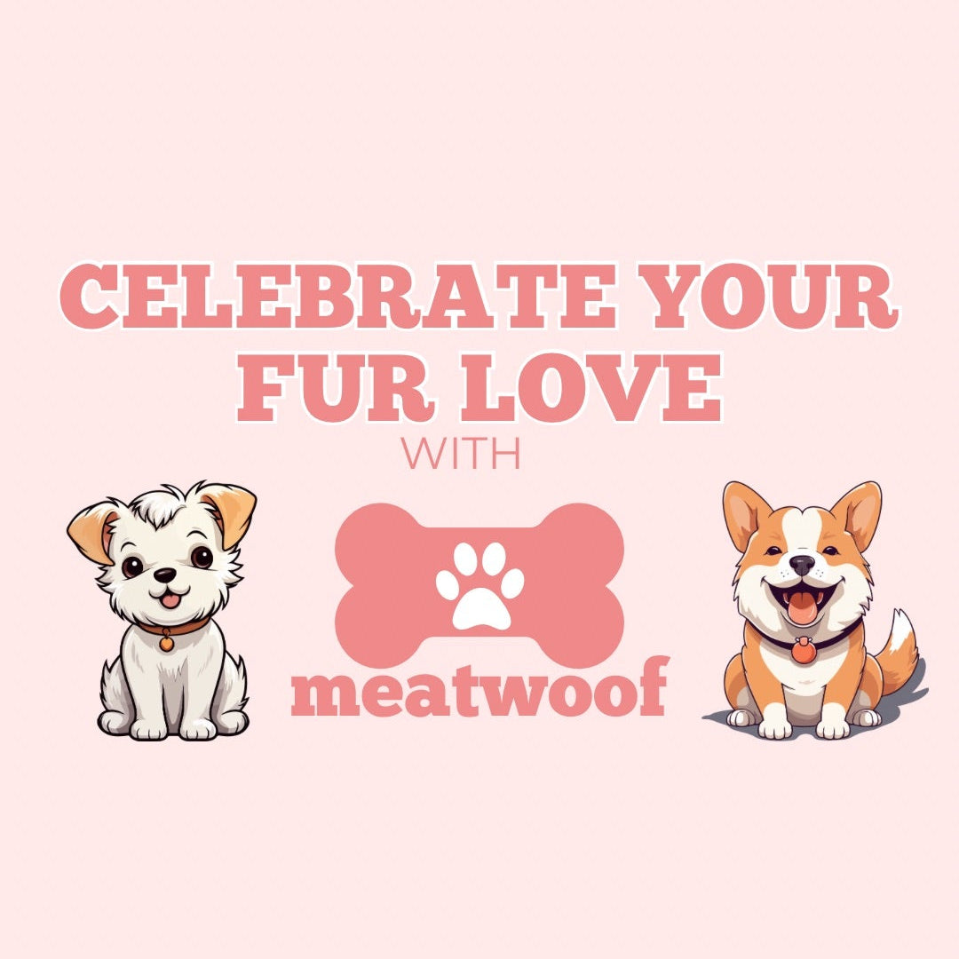 Meatwoof Valentine's Beef Liver Treat Box ❤️