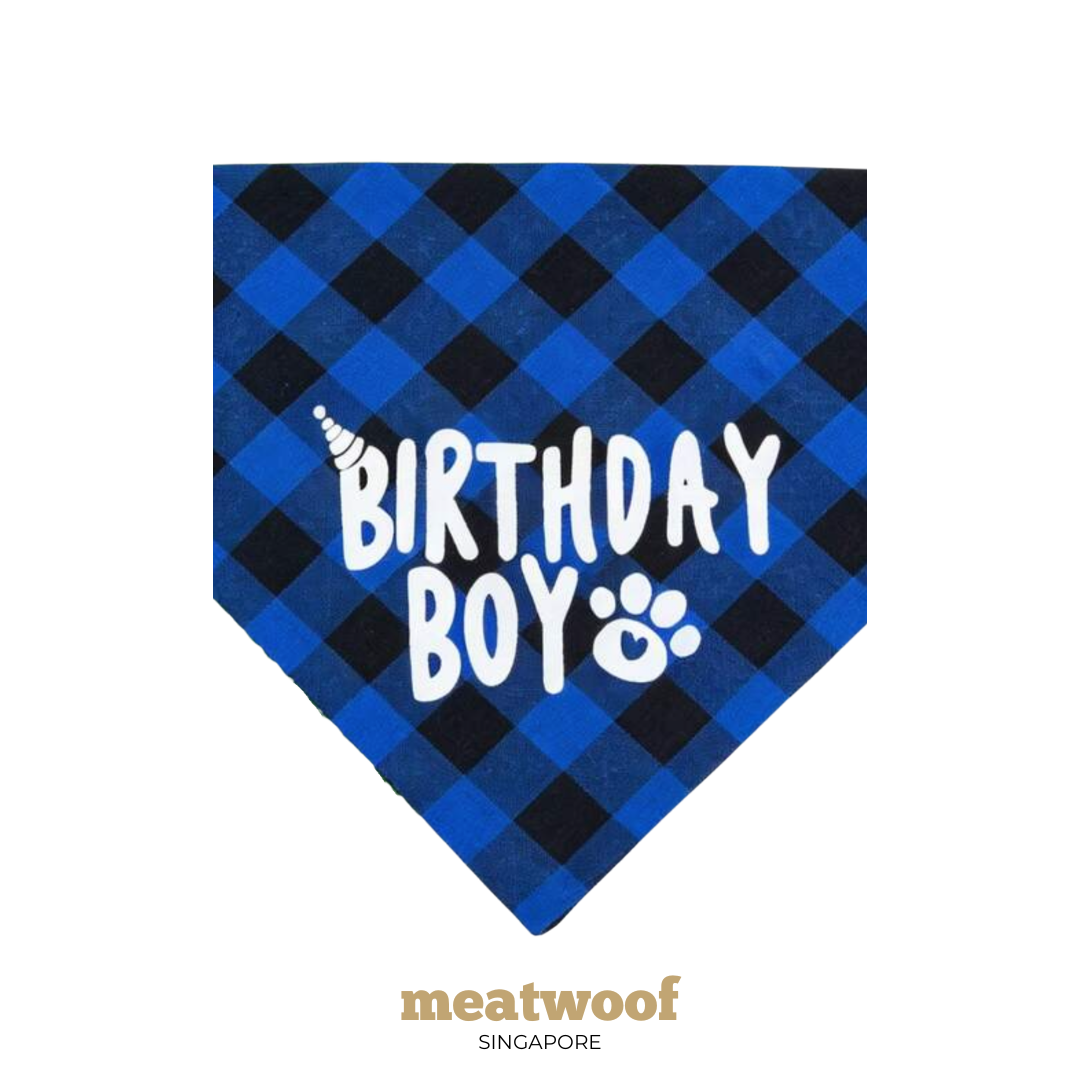 Dog Bandana | Bandana For Dogs | Dog Gift | Gift For Dogs | Dog Blue Bandana | Dog Bandana Singapore | Birthday Bandana | Meatwoof Singapore