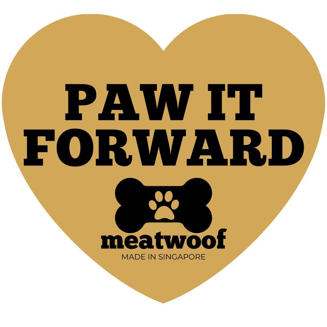 Meatwoof Singapore Paw It Forward | Helping Rescue Dogs | CSR