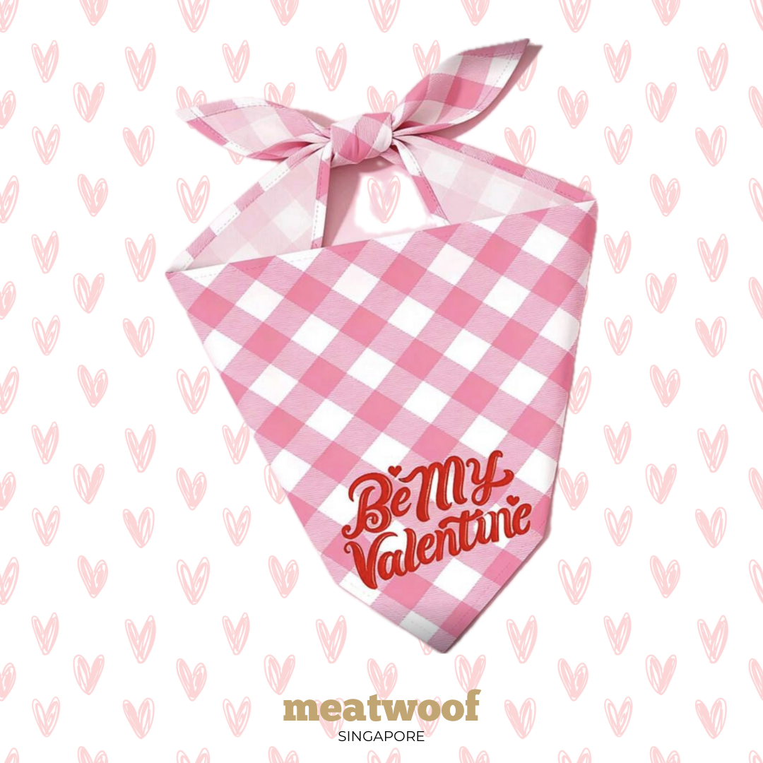 Valentine's Gift For Dogs | Valentines Dog Gifts | Dog Bandana | Valentine Bandana For Dogs