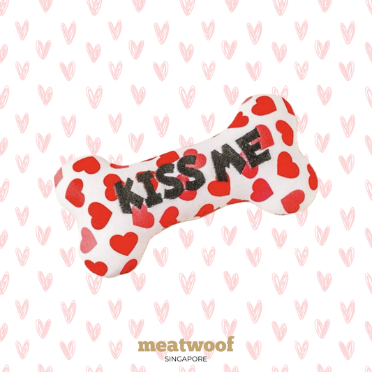 Valentine's Gift For Dogs | Valentines Dog Toy | Dog Bone Toy | Valentines Bone Toy