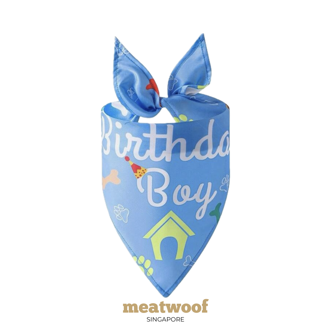 Dog Gifts | Barkday Gift | Gotcha Day Gift | Dog Bandana | Birthday Bandana | Blue Bandana - Meatwoof Singapore