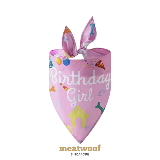 Dog Gifts | Barkday Gift | Gotcha Day Gift | Dog Bandana | Birthday Bandana | Pink Bandana - Meatwoof Singapore