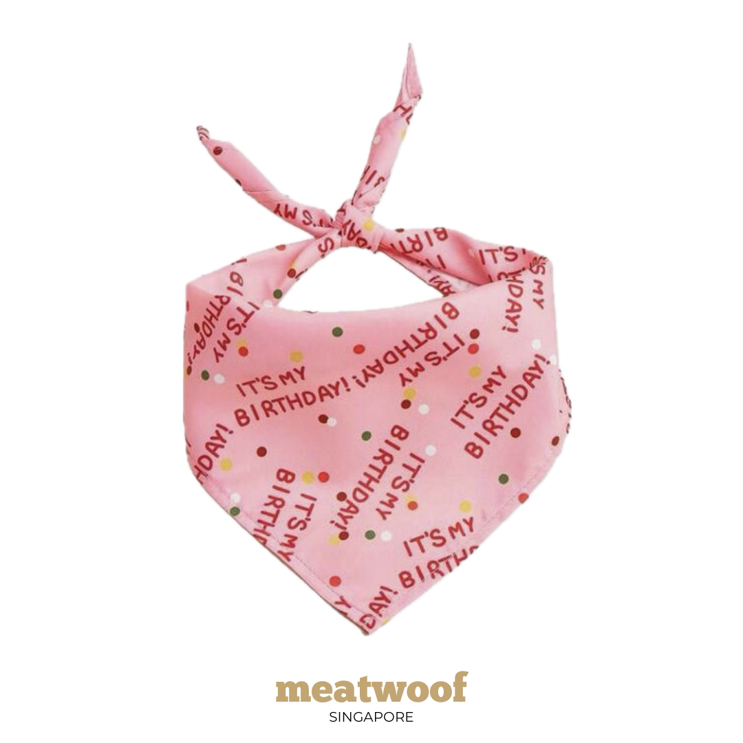 Dog Gifts | Barkday Gift | Gotcha Day Gift | Dog Bandana | Birthday Bandana | Pink Bandana - Meatwoof Singapore